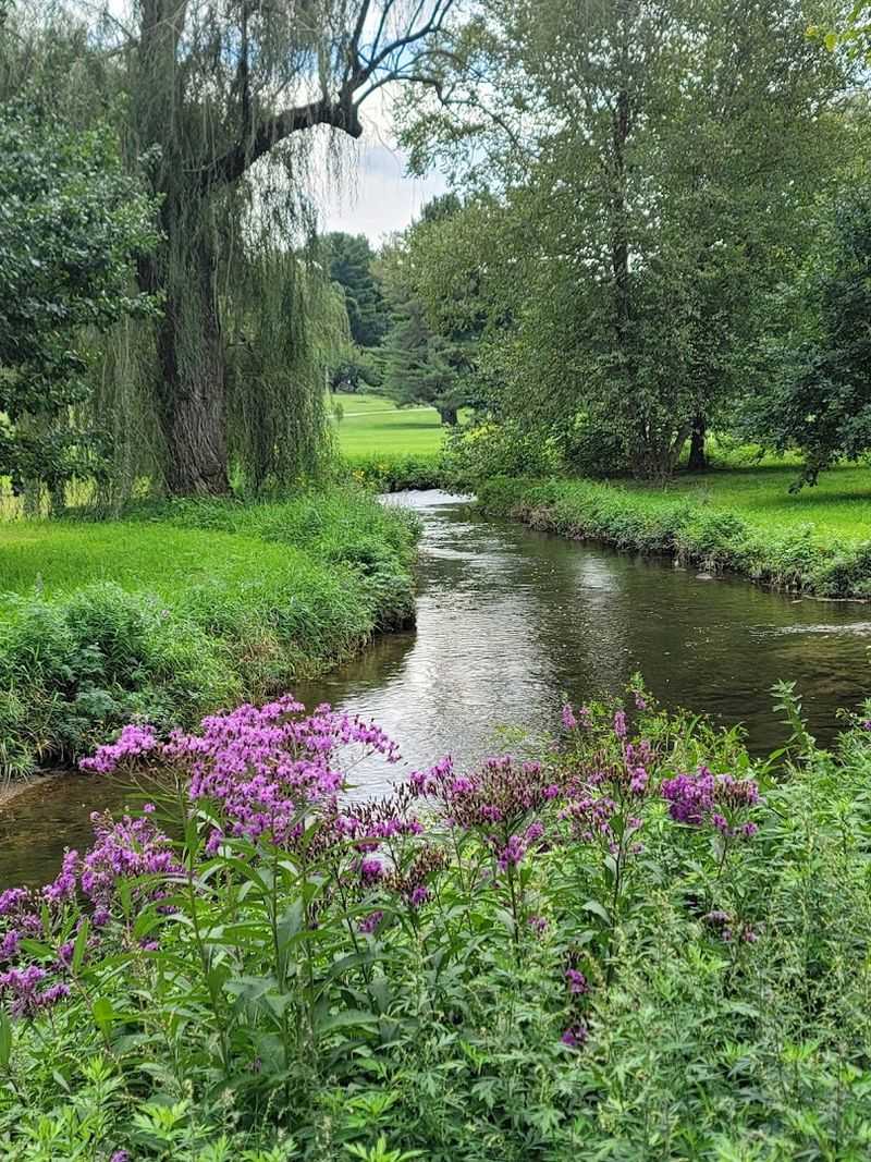 The Surrounding Cedar Creek Path Extends The Experience The Surrounding Cedar Creek Path Extends The Experience
