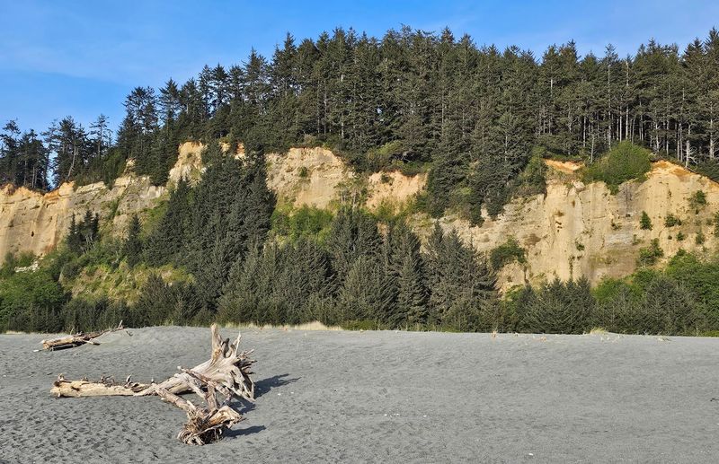 Gold Bluffs Beach Right Next To The Canyon Entrance