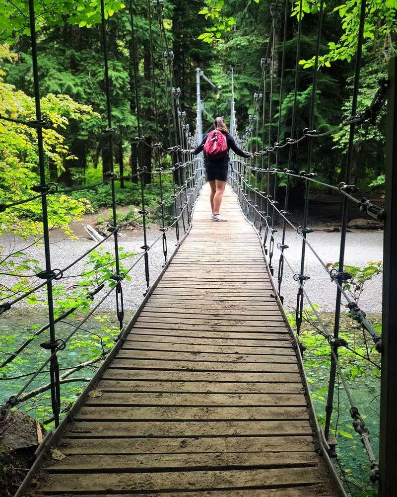 The Suspension Bridge Everybody Talks About