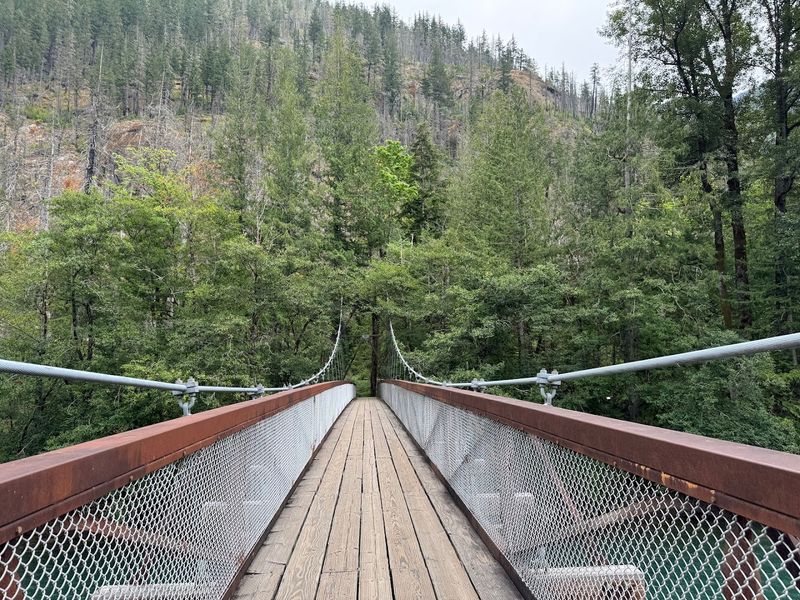 The Suspension Bridge Over The Skagit River