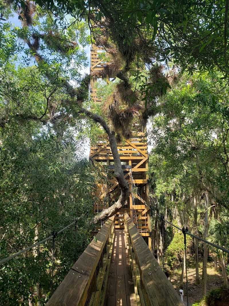 The Suspension Bridge Sits About 25 To 30 Feet Above The Ground