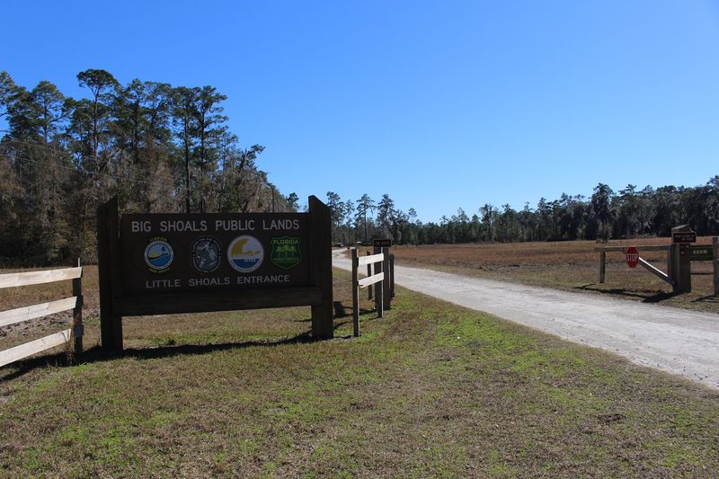 80-Foot Limestone Bluffs Along The Trail