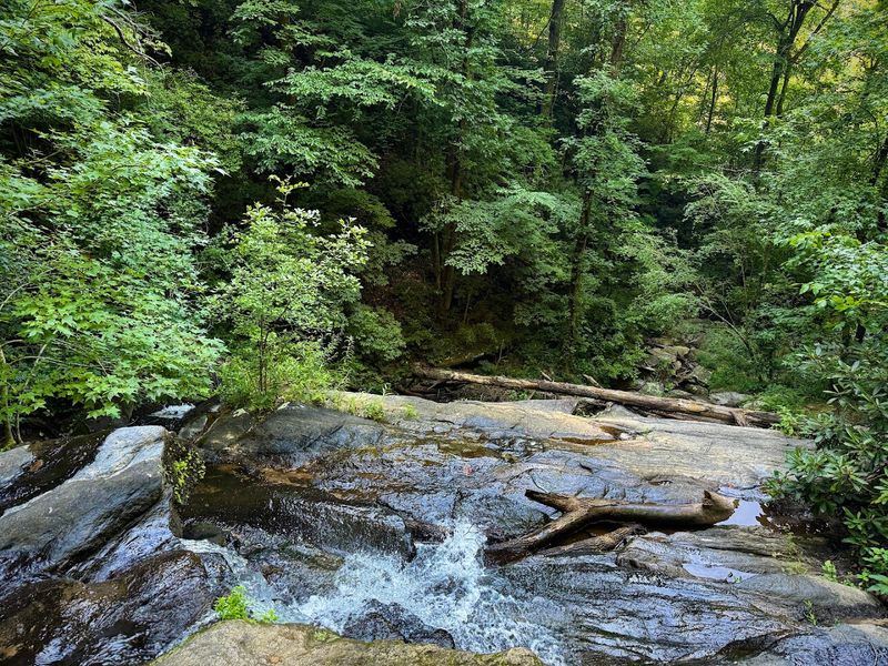 The Swimming Hole At The Bottom