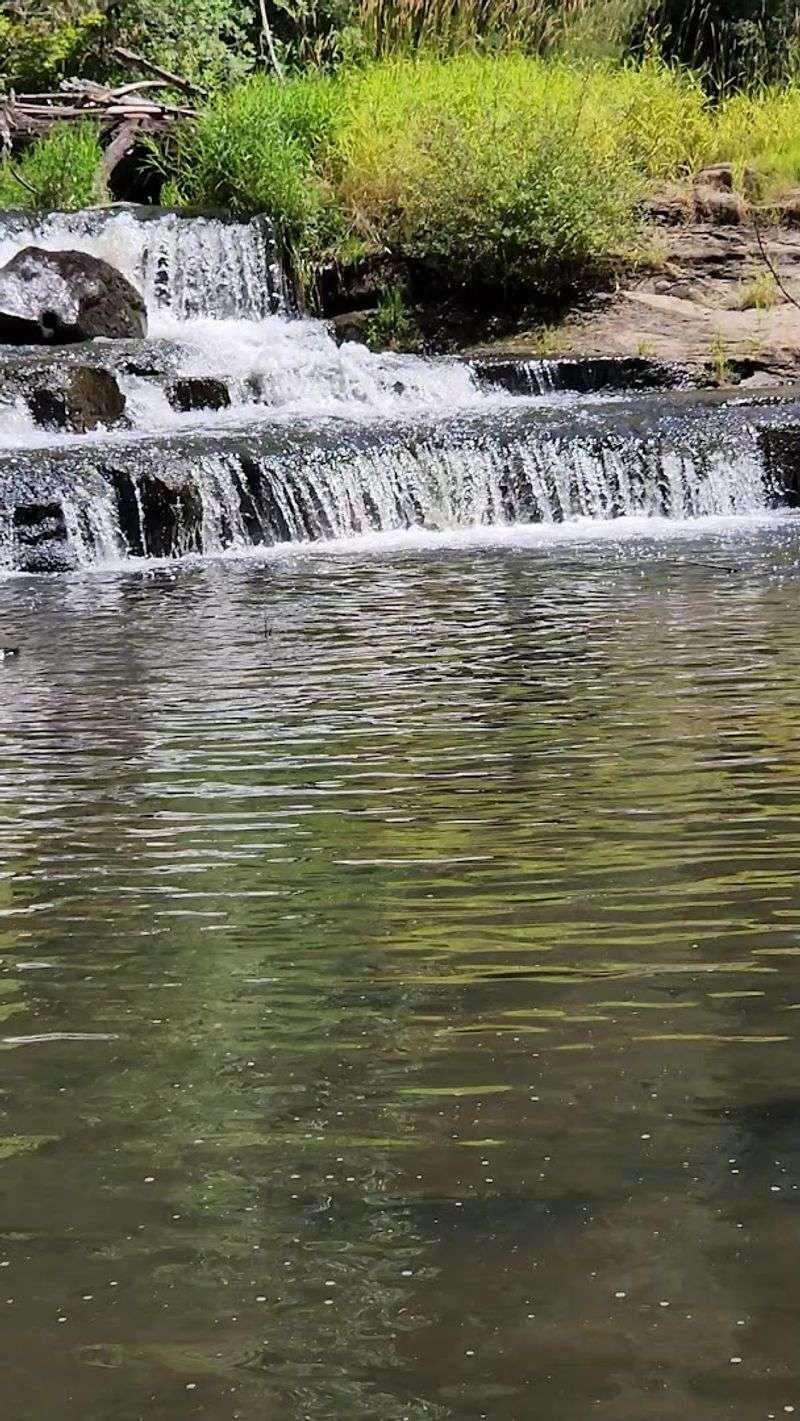 The Swimming Hole You Never Knew You Needed The Swimming Hole You Never Knew You Needed