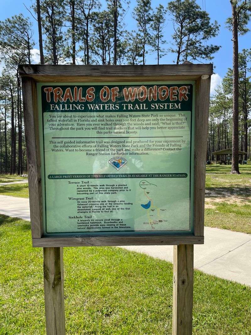 The Camping Experience: Overnight Under Ancient Oaks