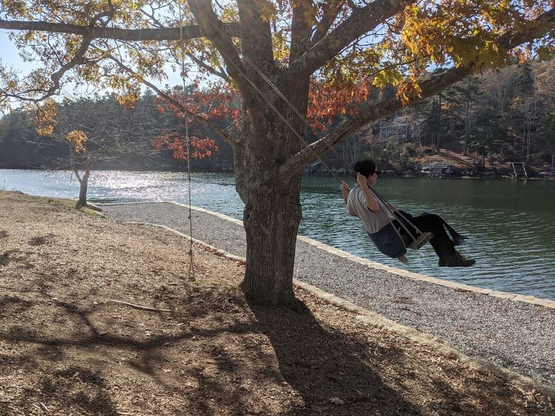 The Swing By The Sea The Swing By The Sea