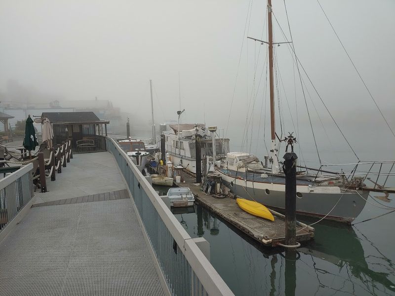 The Swinomish Channel Boardwalk The Swinomish Channel Boardwalk