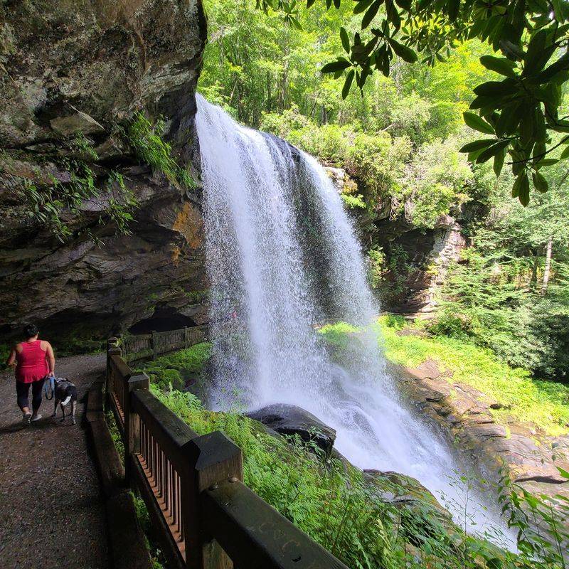 The Symphony Of Falling Water The Symphony Of Falling Water