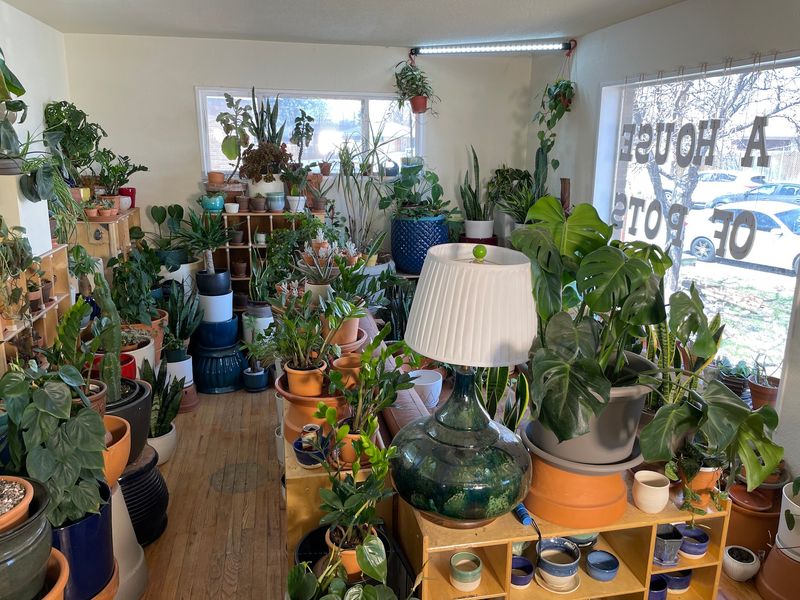 The Takeaway For Colorado Garden Shoppers