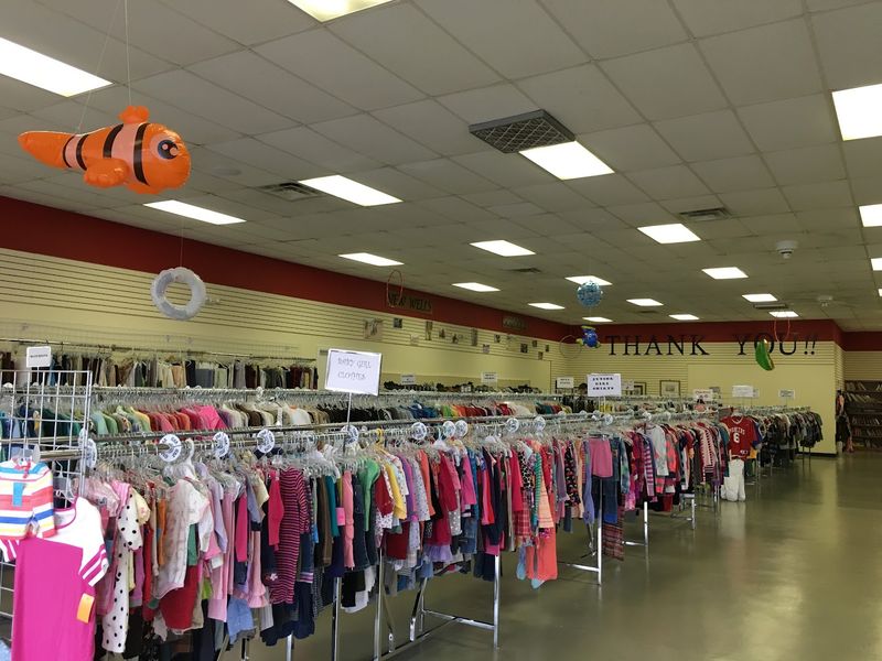 The Layout and Organization You Will Actually Appreciate