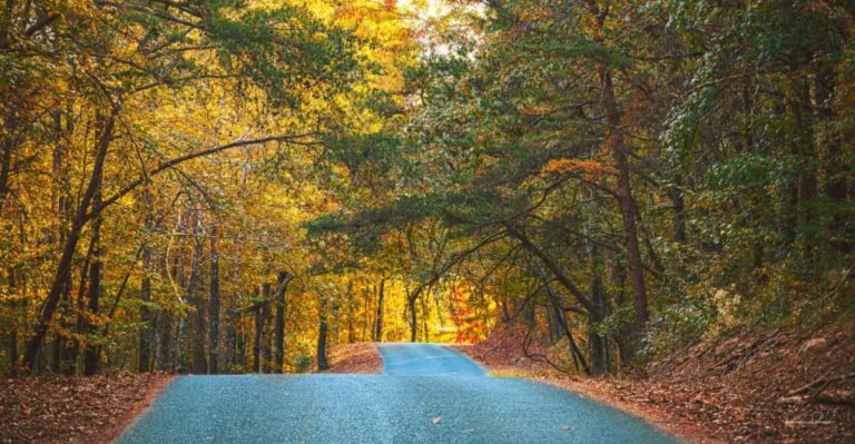 The Thanksgiving Nature Drive In Alabama That Locals Swear Is Worth The Trip Every Year