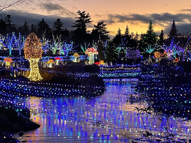 The Theme Turns Maine Traditions Into Glowing Storybook Scenes