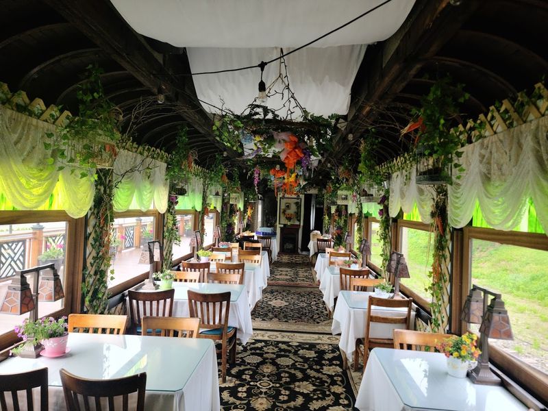 The Themed Excursions Change Throughout The Year