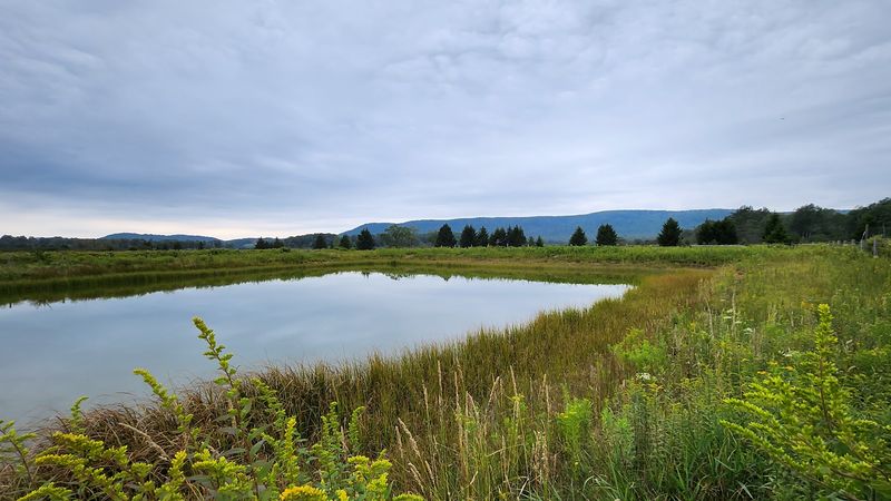 Canaan Valley National Wildlife Refuge