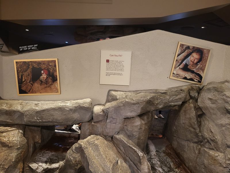 The Big Room's Record-Breaking Wonders