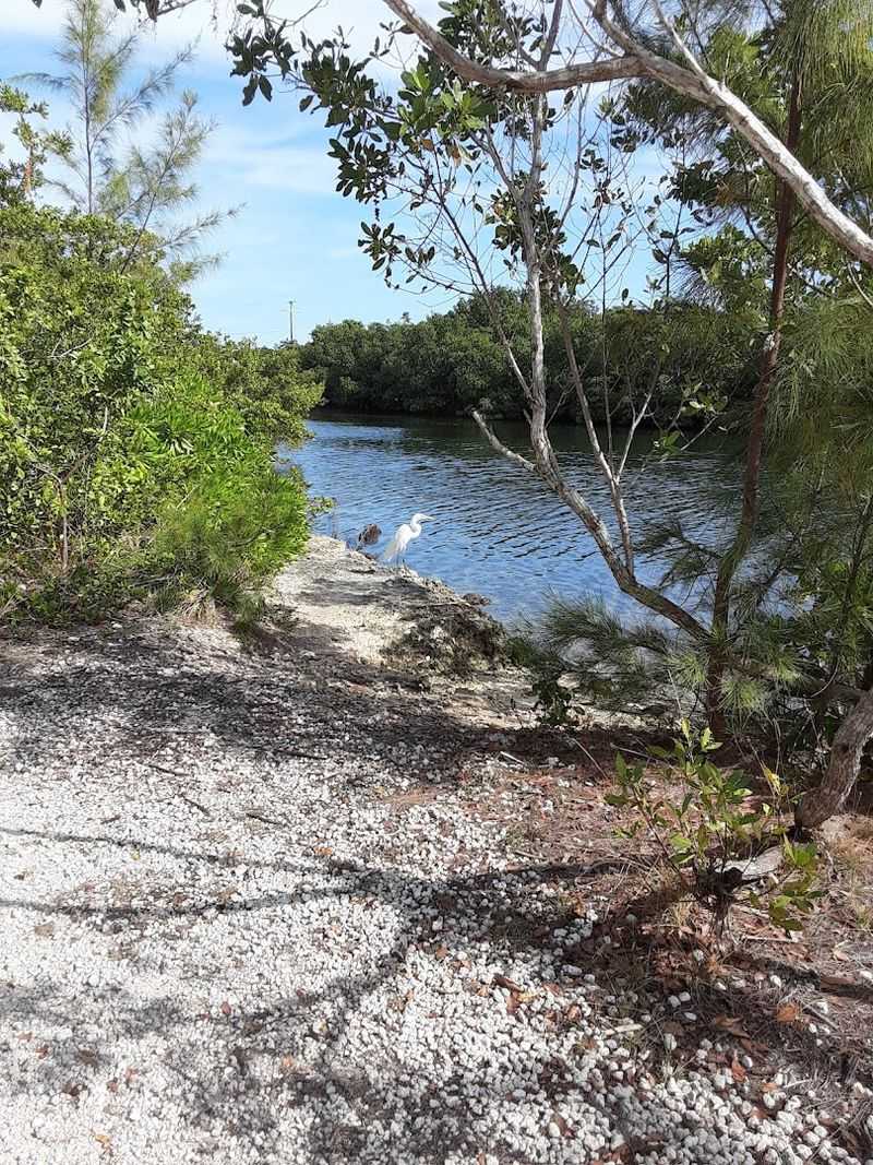 Biscayne Bay Views Frame Every Visit