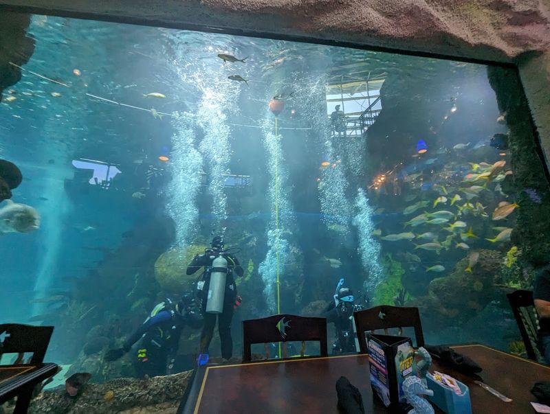 The On-Site Restaurant: Dining While Fish Watch You Back