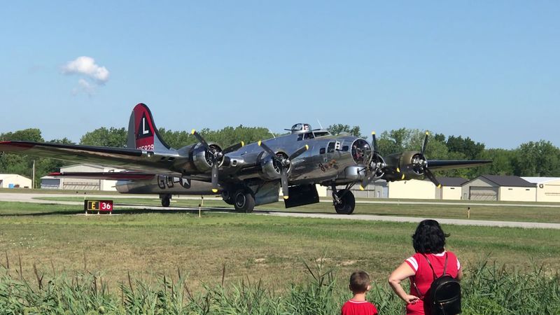 The Staff and the Cats That Make It Special