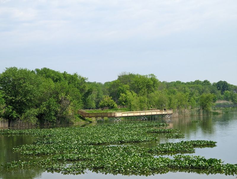 Bird Watching Opportunities