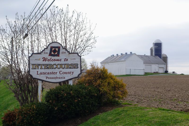 The Name Everyone Remembers