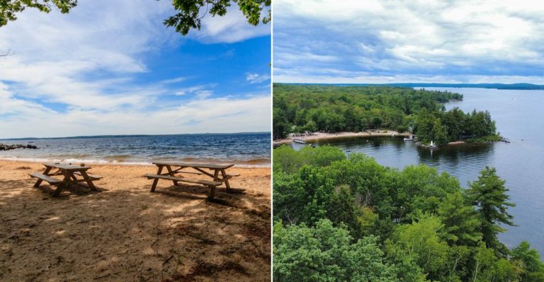 The Tiny Maine Island Town Where Golf Carts Rule The Roads