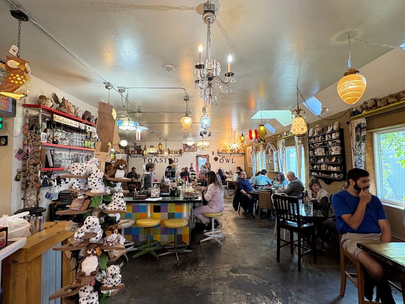 The Toasted Owl Café