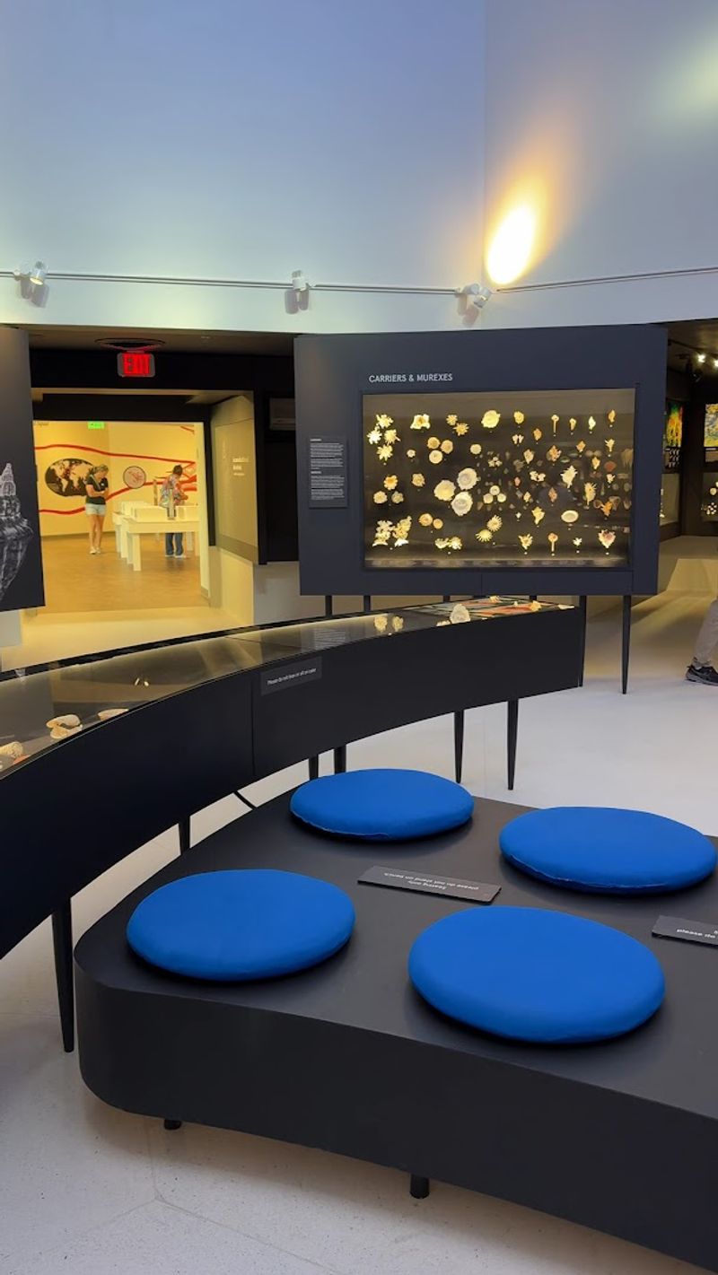 The Touch Tanks Let You Handle Real Sea Creatures