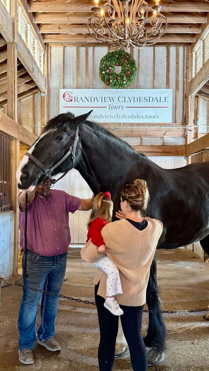 The Tour Experience Is Thoughtfully Designed For All Ages And Abilities