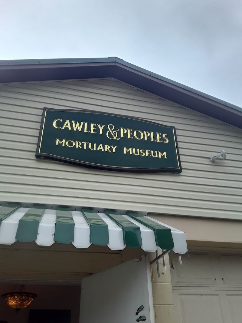 Planning Your Visit and What to Expect