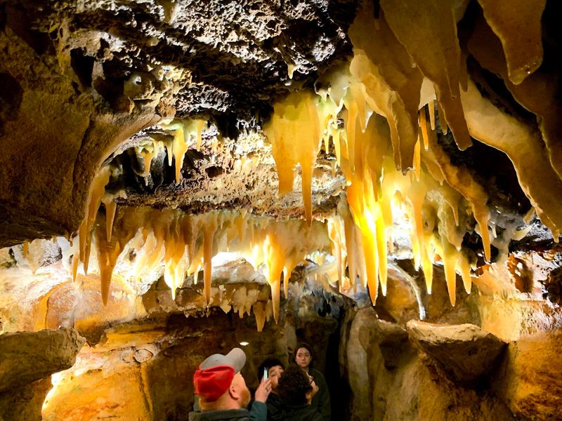 The Tour Guides Who Make It Memorable