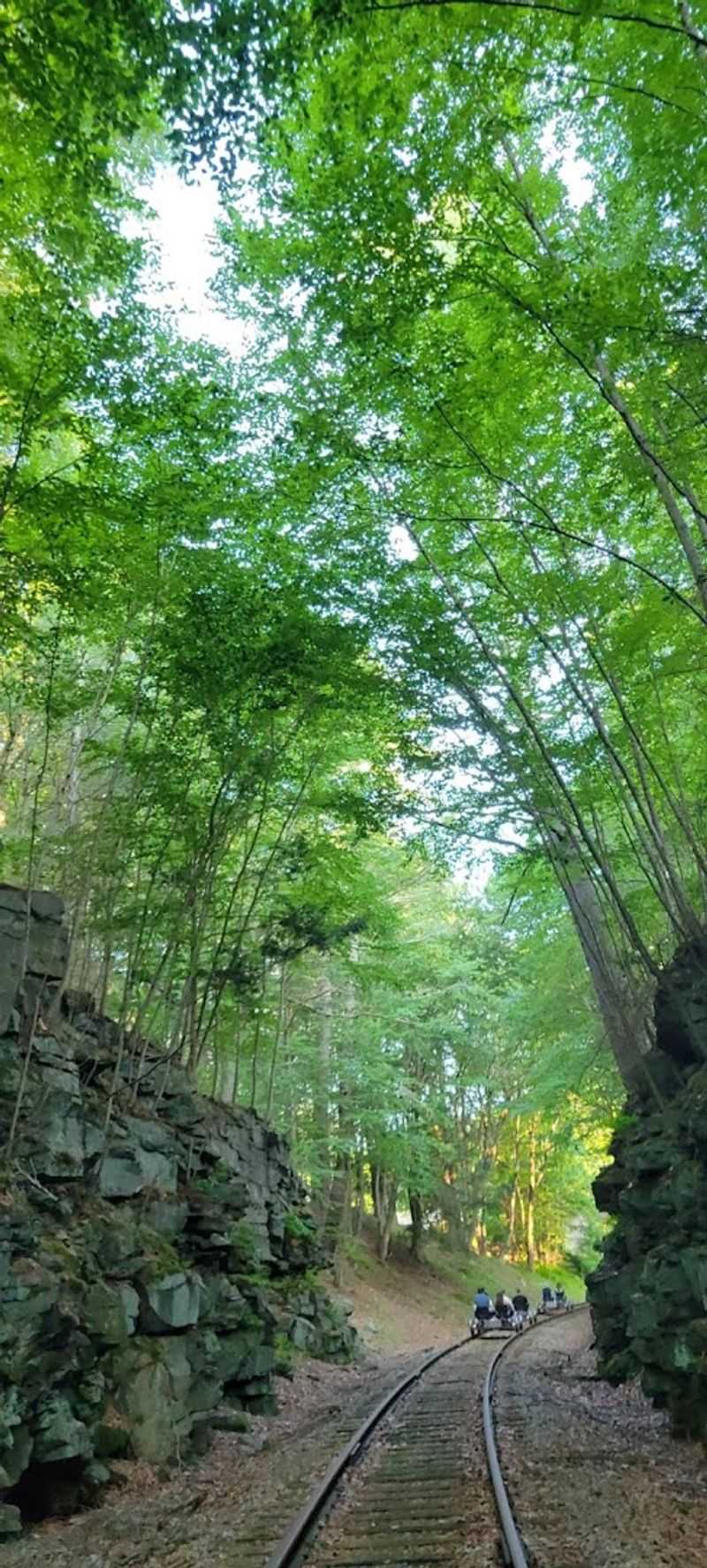 Fall Foliage Turns the Trail Into a Moving Postcard