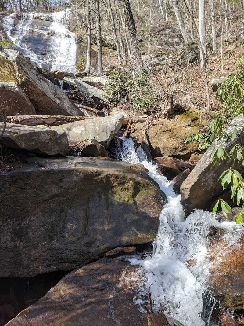 The Track Winds Through Beautiful Mountain Forest