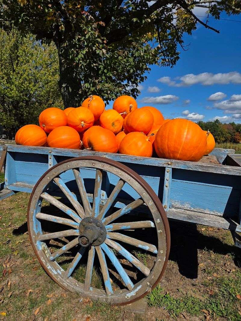The Tractor And Wagon Ride That Makes The Trip Even Better