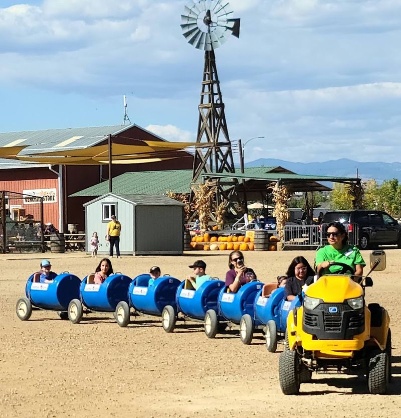 The Tractor Ride In and What Happens Before You Even See a Flower The Tractor Ride In and What Happens Before You Even See a Flower