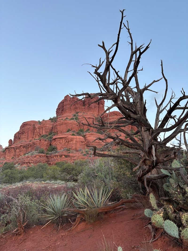 Red Rock Views That Stop You Mid-Step