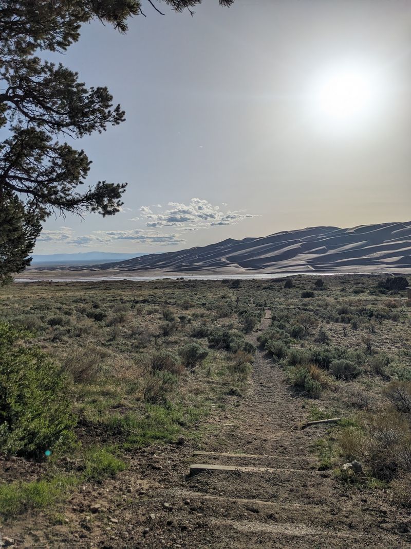 The Trail Connection That Changes Your Whole Morning