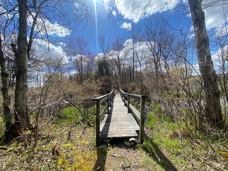 The Trail Connects To Gouldsboro State Park For Longer Adventures The Trail Connects To Gouldsboro State Park For Longer Adventures