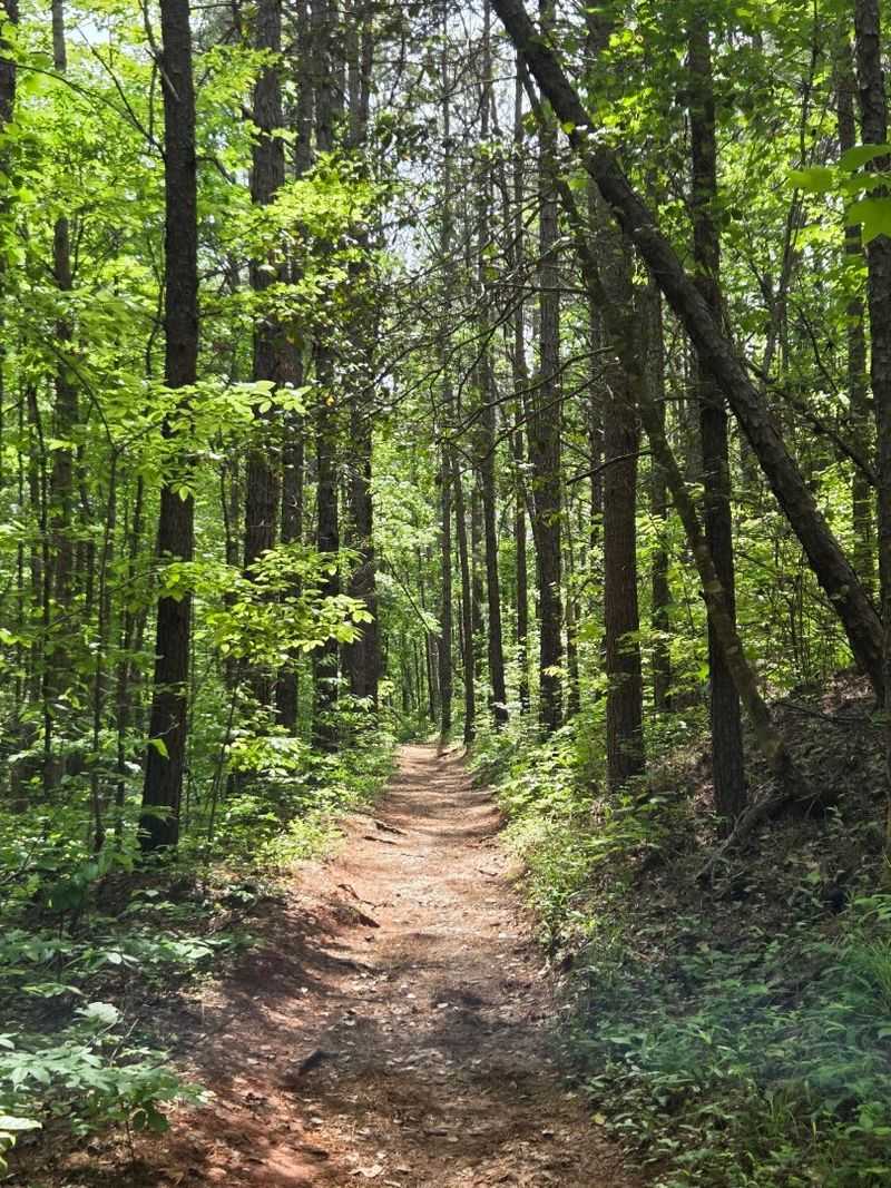 The Trail Distance And What To Actually Expect The Trail Distance And What To Actually Expect