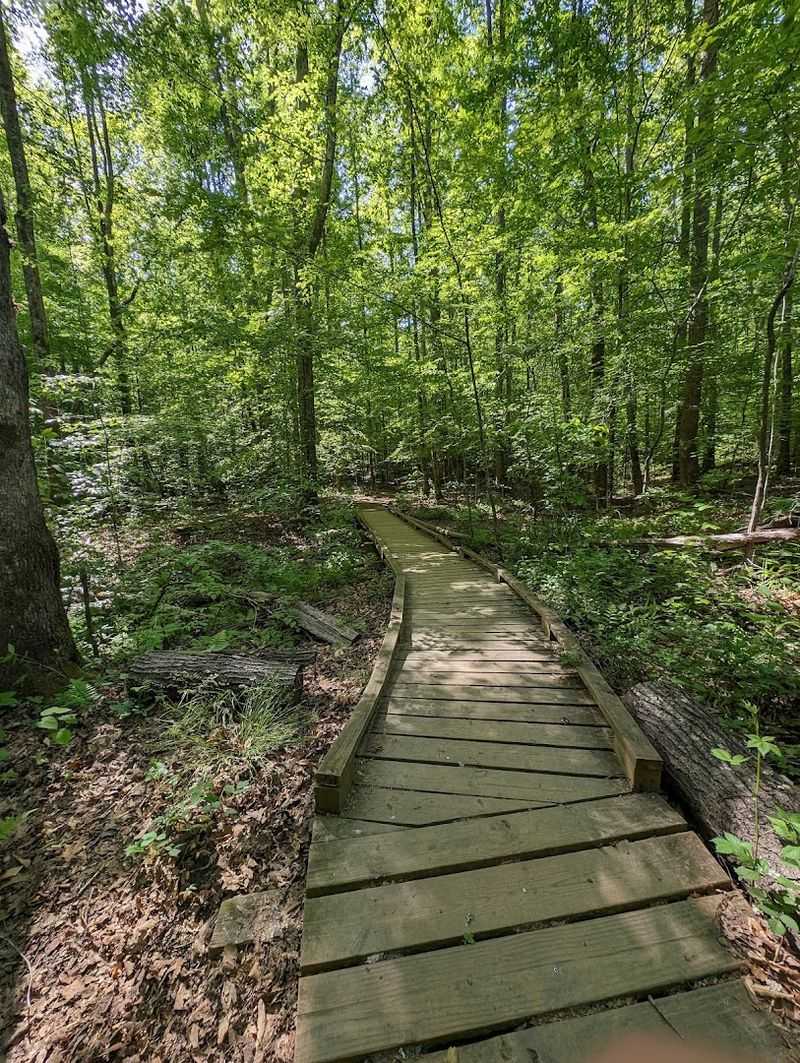 The Trail Distance Is Perfectly Manageable The Trail Distance Is Perfectly Manageable