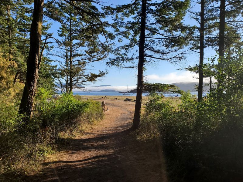 The Trail Down To The Beach