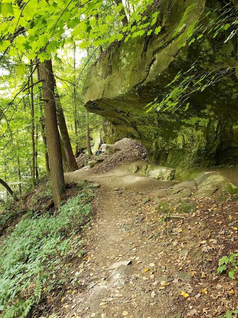 The Trail Down to the River