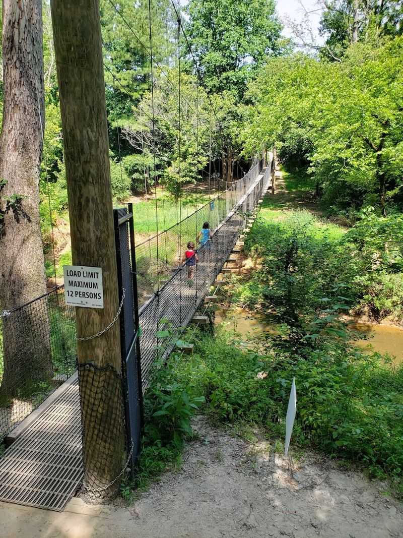 Dog-Friendly Adventure On The Creek Trail
