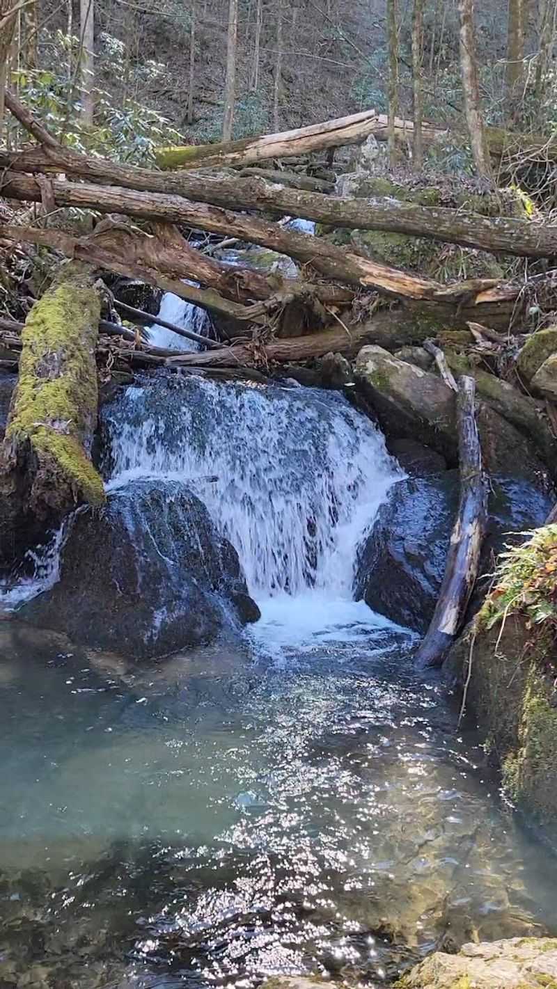 Storm Damage And Downed Trees Add Challenge