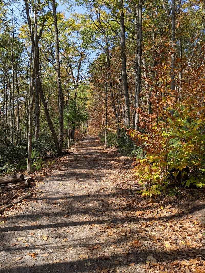 The Trail Is Short, Easy, And Big On Payoff