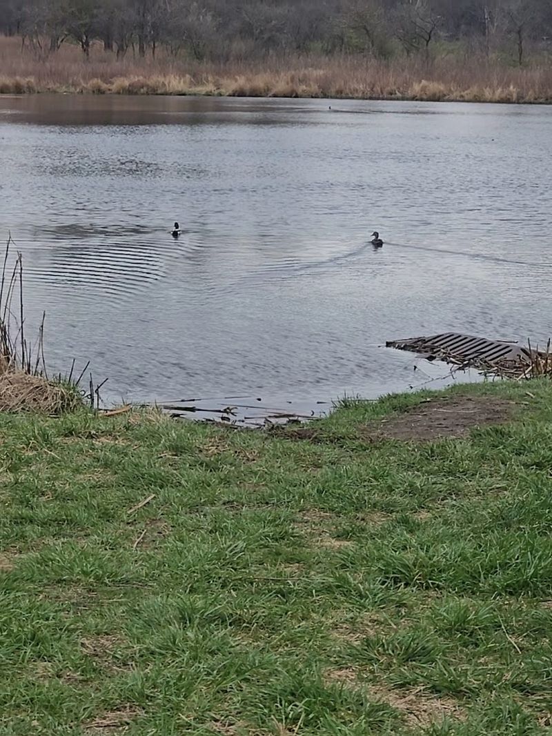 A Quiet Lake Adds Unexpected Beauty