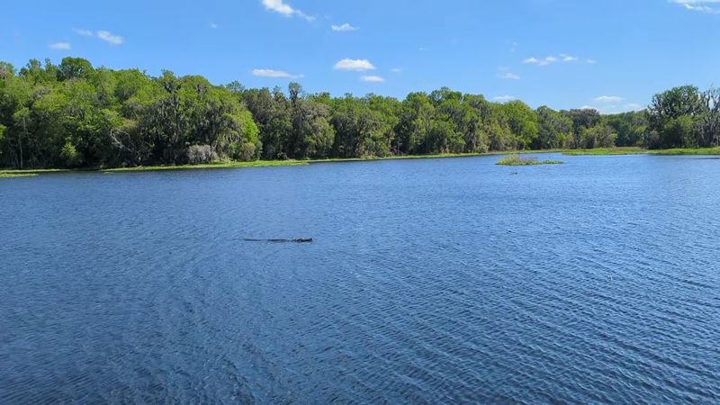 The Trail Sits Inside One Of Florida's Largest Freshwater Marshes