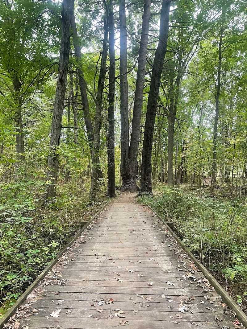 The Trail System Earns A Longer Visit