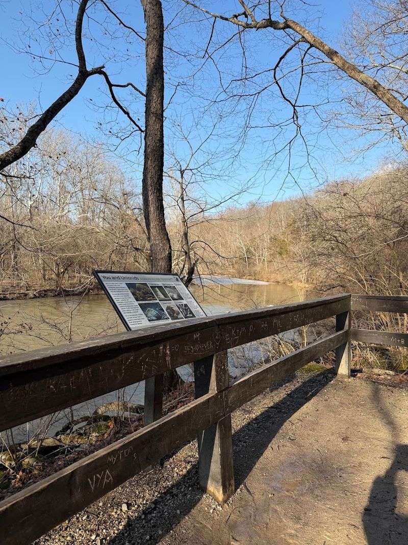 Birding Here Is A Genuinely Rewarding Experience