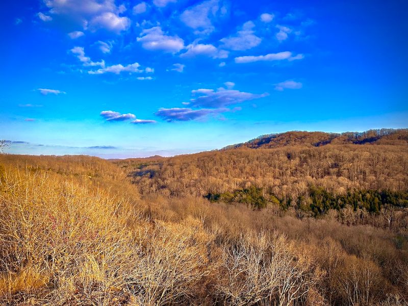 The Overlook View That Stops You Cold
