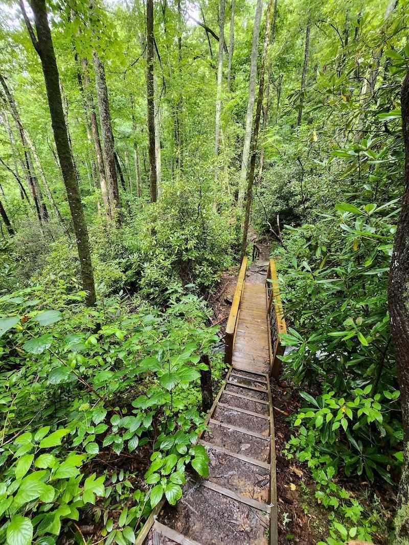 The Trail That Feels Like A Portal